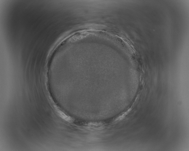 X0000082200101200702100011