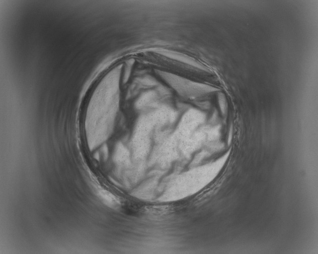 X0000082200102200702100011