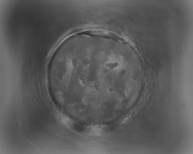 X0000082200103200702100011