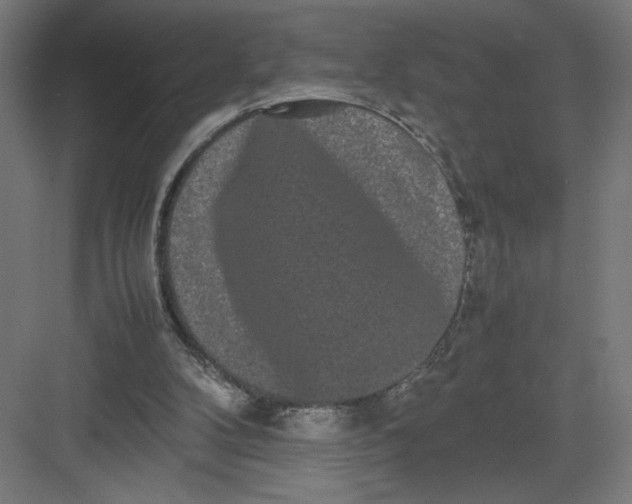 X0000082200104200702100011