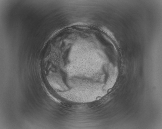 X0000082200106200702100011