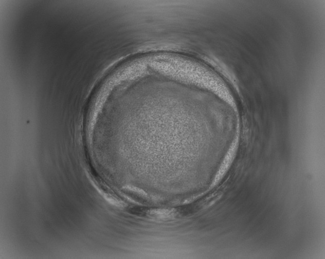 X0000082200107200702100011