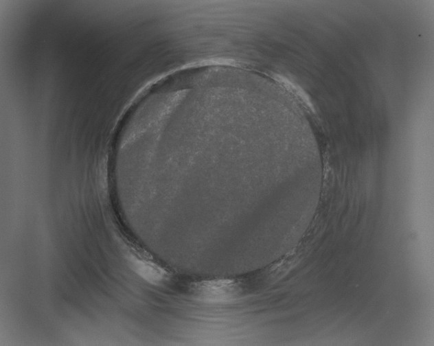 X0000082200108200702100011