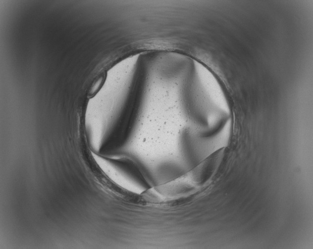 X0000082200109200702100011