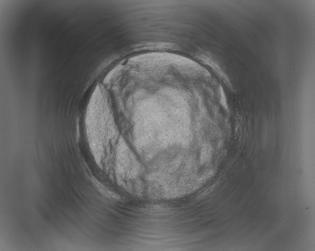 X0000082200110200702100011