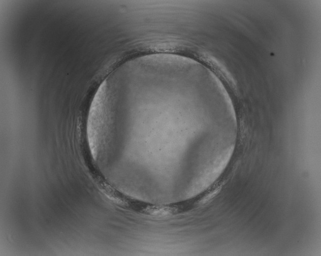 X0000082200113200702100011