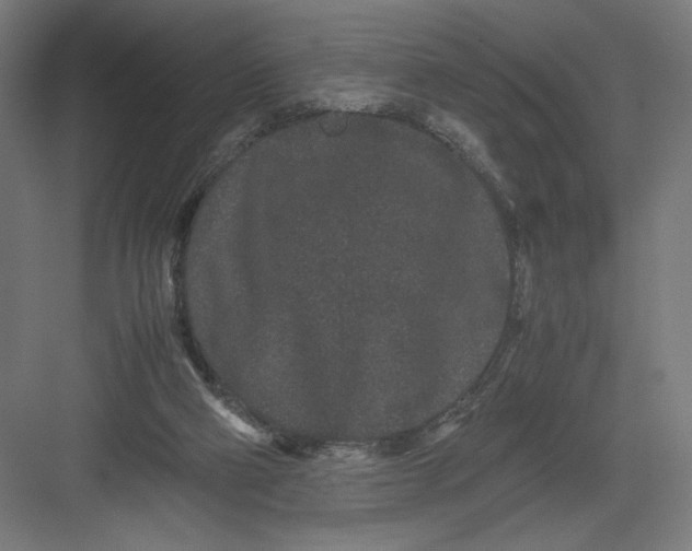 X0000082200114200702100011