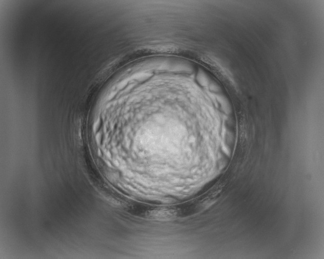 X0000082200115200702100011