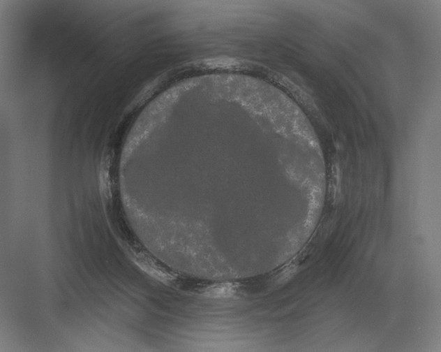 X0000082200116200702100011