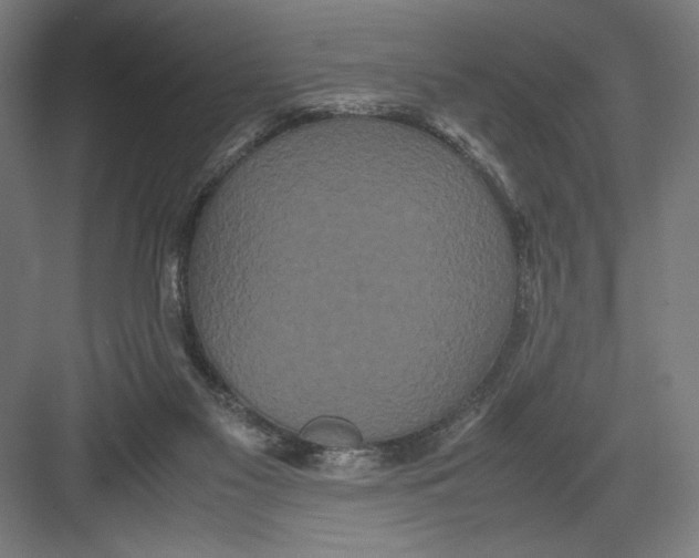 X0000082200117200702100011