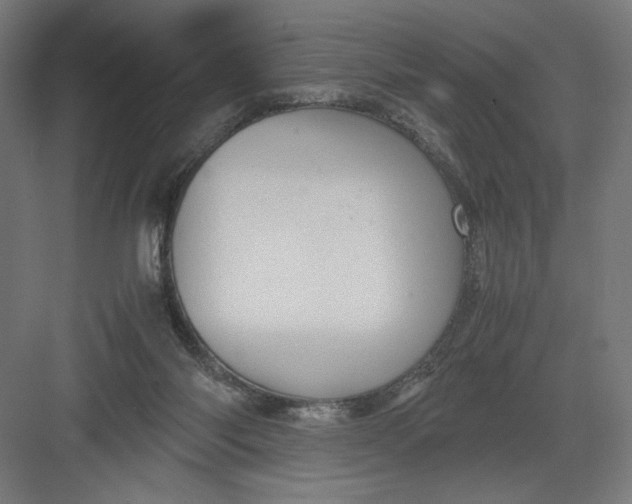 X0000082200118200702100011