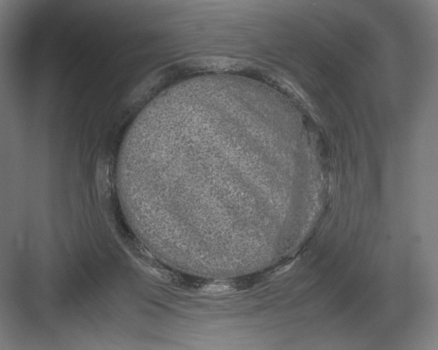 X0000082200119200702100011