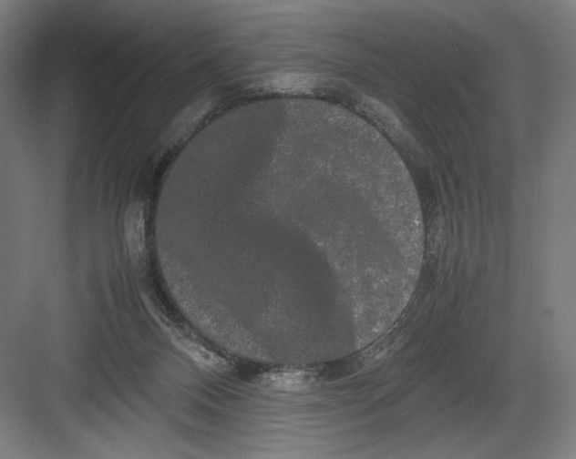 X0000082200120200702100011