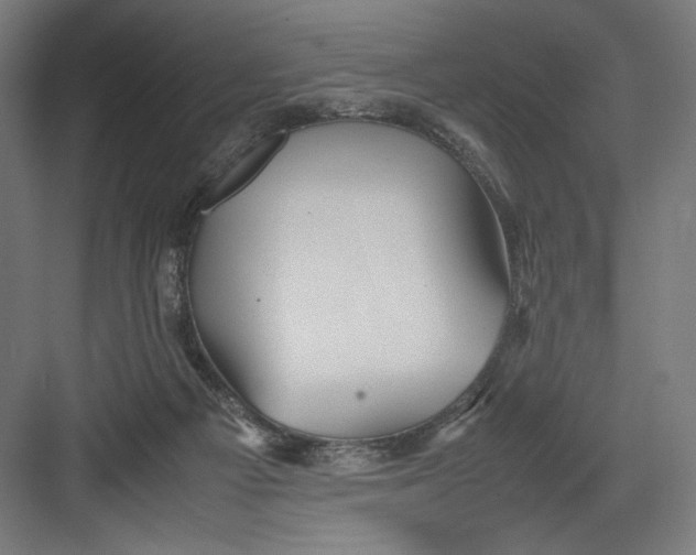 X0000082200121200702100011