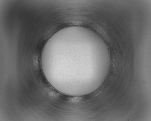 X0000082200122200702100011