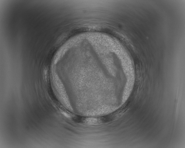 X0000082200123200702100011