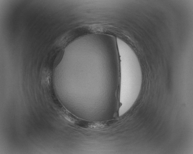 X0000082200125200702100011