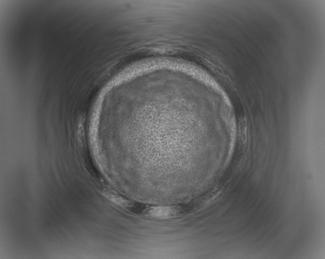 X0000082200127200702100011