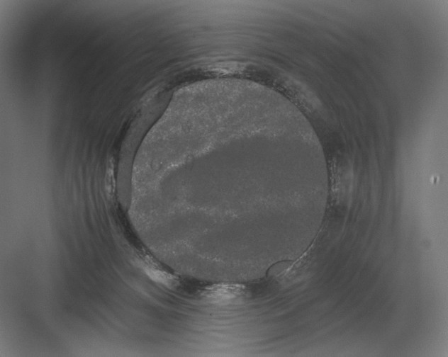 X0000082200128200702100011