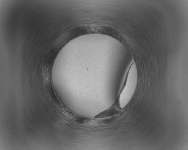 X0000082200129200702100011