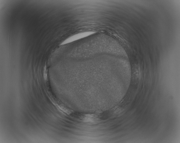 X0000082200130200702100011