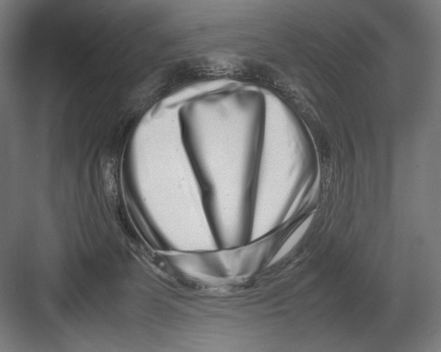 X0000082200131200702100011