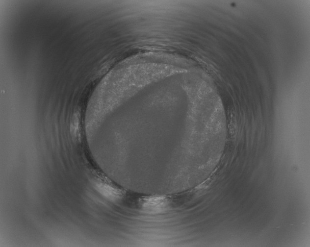 X0000082200132200702100011