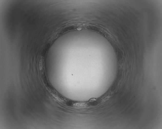 X0000082200133200702100011