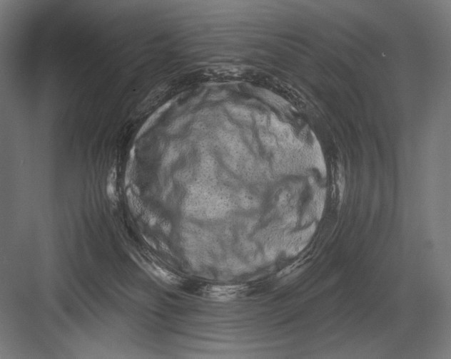 X0000082200134200702100011