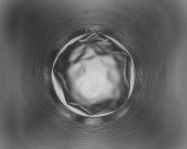 X0000082200135200702100011