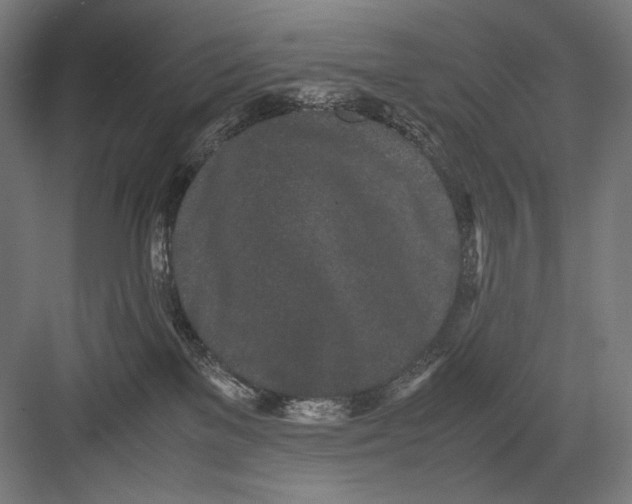 X0000082200137200702100011