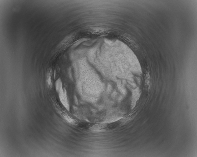 X0000082200138200702100011