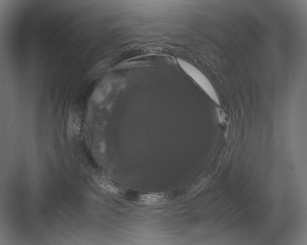 X0000082200139200702100011