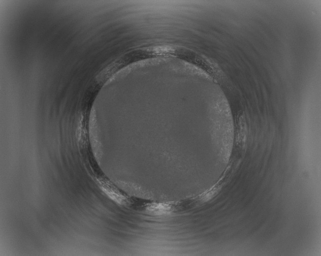 X0000082200140200702100011