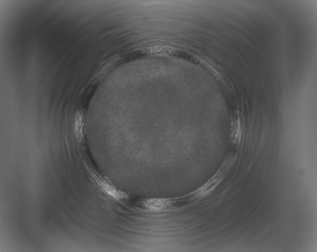 X0000082200142200702100011