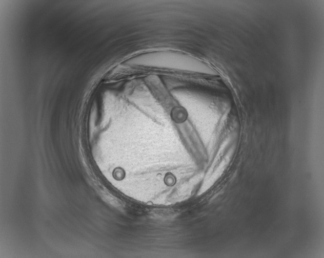 X0000082200145200702100010