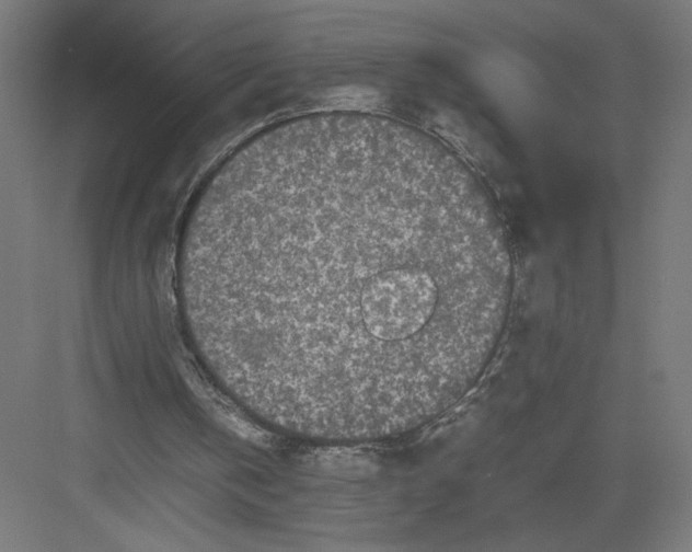 X0000082200146200702100010