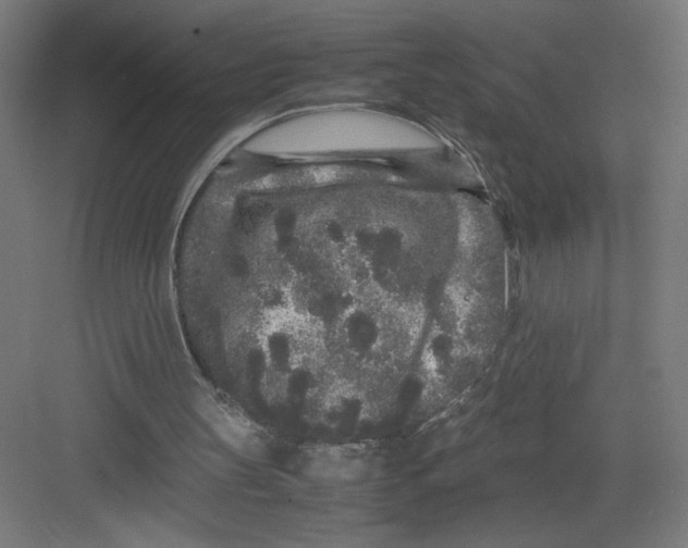 X0000082200147200702100010