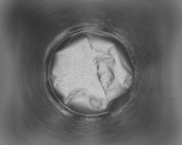 X0000082200149200702100010