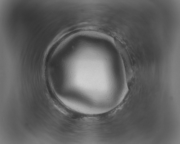 X0000082200150200702100010