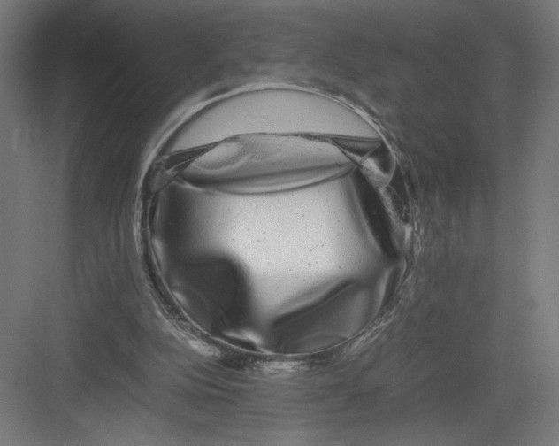 X0000082200152200702100010