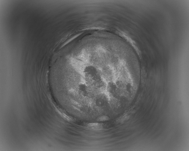 X0000082200153200702100010