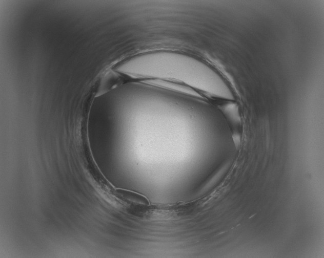 X0000082200154200702100010