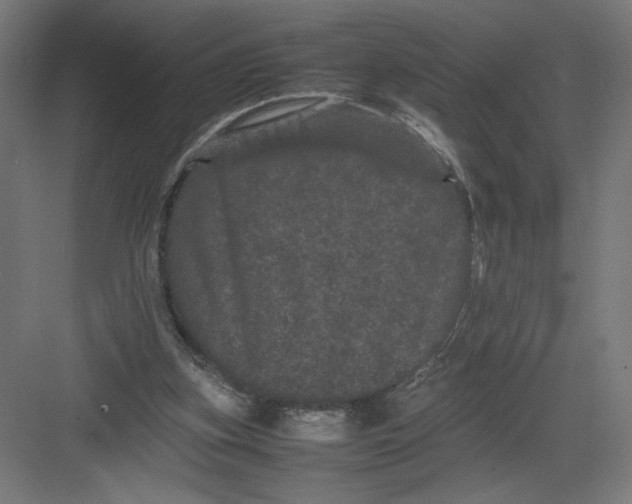 X0000082200155200702100010