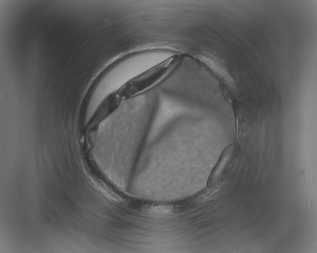 X0000082200156200702100010