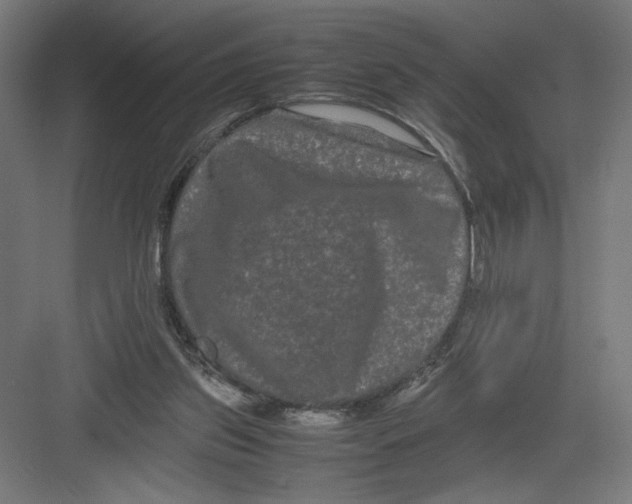 X0000082200157200702100010