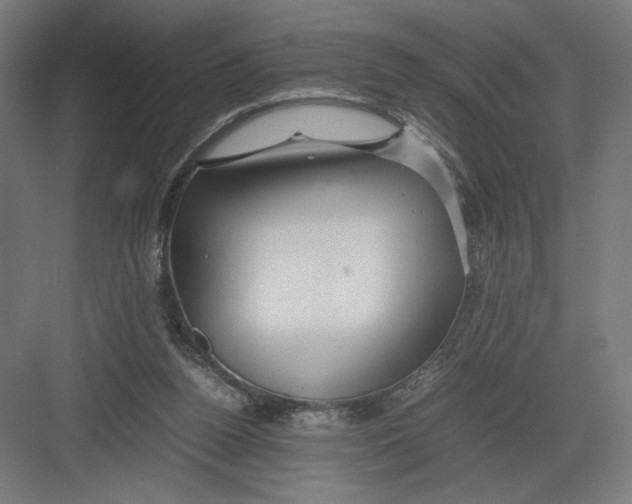 X0000082200160200702100010