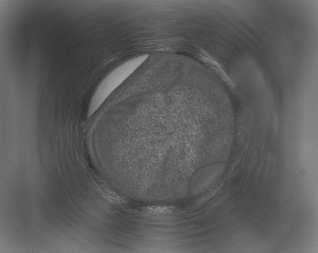 X0000082200161200702100010