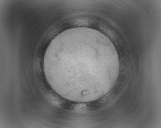 X0000082200162200702100010