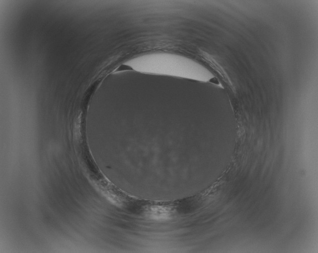 X0000082200163200702100010